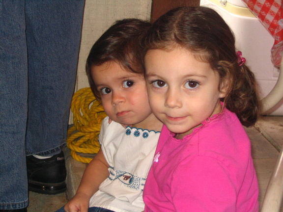 From Camera 161.jpg